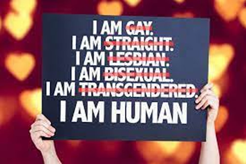 Human rights advocacy and monitoring for LGBTQ rights in South Africa